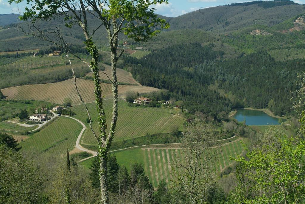 Agriturismo Vinci Gaiole in Chianti Luaran gambar
